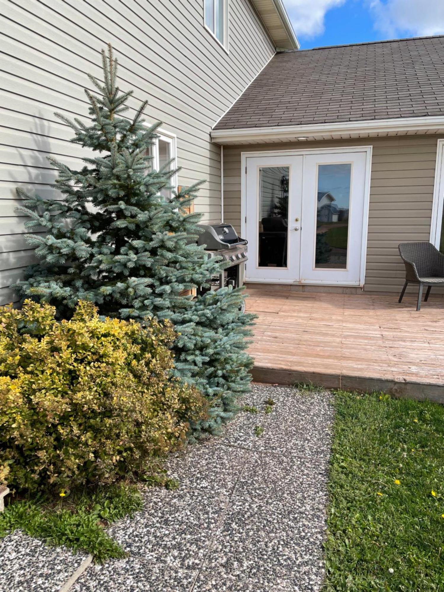 PEI Cottage Rental Borden-Carleton Esterno foto